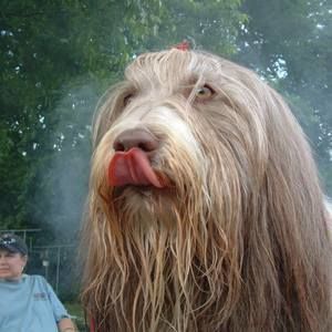 Meet your Posher, Leslie k